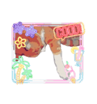 猫ver2（個別スタンプ：1）