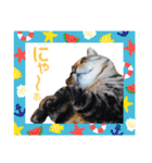 猫ver2（個別スタンプ：6）