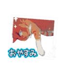 猫ver2（個別スタンプ：9）