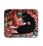 猫ver2（個別スタンプ：17）