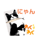 猫ver2（個別スタンプ：26）
