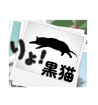 猫ver2（個別スタンプ：29）