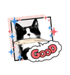 猫ver2（個別スタンプ：30）