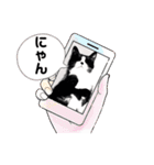 猫ver2（個別スタンプ：33）