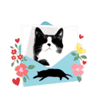 猫ver2（個別スタンプ：34）
