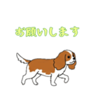 [お願いします専用]キャバリア（個別スタンプ：1）