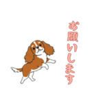 [お願いします専用]キャバリア（個別スタンプ：2）