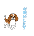 [お願いします専用]キャバリア（個別スタンプ：5）