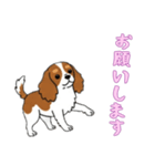 [お願いします専用]キャバリア（個別スタンプ：9）
