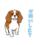 [お願いします専用]キャバリア（個別スタンプ：10）