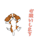 [お願いします専用]キャバリア（個別スタンプ：12）