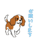 [お願いします専用]キャバリア（個別スタンプ：15）