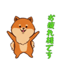 [お疲れ様です専用]ポメラニアン1（個別スタンプ：7）