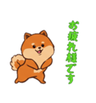 [お疲れ様です専用]ポメラニアン1（個別スタンプ：8）