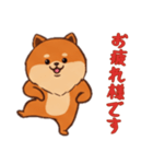 [お疲れ様です専用]ポメラニアン1（個別スタンプ：9）