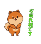 [お疲れ様です専用]ポメラニアン1（個別スタンプ：12）