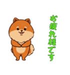 [お疲れ様です専用]ポメラニアン1（個別スタンプ：13）