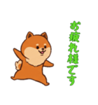 [お疲れ様です専用]ポメラニアン1（個別スタンプ：15）