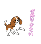 [お帰りなさい専用]キャバリア（個別スタンプ：2）