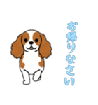 [お帰りなさい専用]キャバリア（個別スタンプ：11）