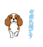 [お疲れ様です専用]キャバリア（個別スタンプ：10）