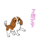 [了解です専用]キャバリア（個別スタンプ：2）