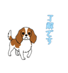 [了解です専用]キャバリア（個別スタンプ：3）