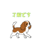 [了解です専用]キャバリア（個別スタンプ：4）