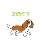 [了解です専用]キャバリア（個別スタンプ：5）
