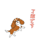 [了解です専用]キャバリア（個別スタンプ：6）