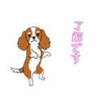 [了解です専用]キャバリア（個別スタンプ：7）