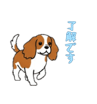 [了解です専用]キャバリア（個別スタンプ：9）