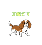 [了解です専用]キャバリア（個別スタンプ：10）
