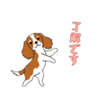 [了解です専用]キャバリア（個別スタンプ：12）