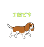 [了解です専用]キャバリア（個別スタンプ：14）