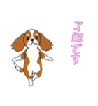 [了解です専用]キャバリア（個別スタンプ：15）