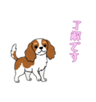 [了解です専用]キャバリア（個別スタンプ：16）