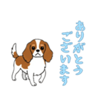 [ありがとうございます専用]キャバリア（個別スタンプ：4）