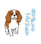 [ありがとうございます専用]キャバリア（個別スタンプ：5）