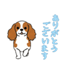 [ありがとうございます専用]キャバリア（個別スタンプ：10）