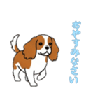 [おやすみなさい専用]キャバリア（個別スタンプ：6）