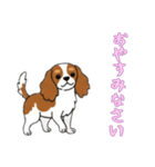 [おやすみなさい専用]キャバリア（個別スタンプ：7）