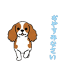 [おやすみなさい専用]キャバリア（個別スタンプ：16）