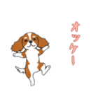 [オッケー専用]キャバリア（個別スタンプ：4）