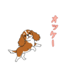 [オッケー専用]キャバリア（個別スタンプ：14）