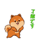 [了解です専用]ポメラニアン1（個別スタンプ：8）