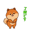 [了解です専用]ポメラニアン1（個別スタンプ：13）