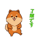 [了解です専用]ポメラニアン1（個別スタンプ：14）