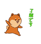 [了解です専用]ポメラニアン1（個別スタンプ：16）