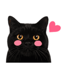 猫の顔写真❤️楽しく使える日常会話♪（個別スタンプ：15）